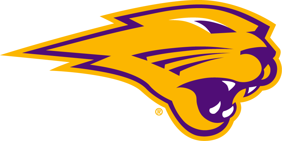 Northern Iowa Panthers 2021-Pres Secondary Logo v2 iron on transfers for clothing